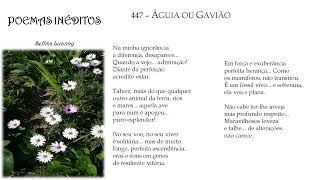 POEMAS INÉDITOS p447 quotÁGUIA OU GAVIÃOquot com áudio [upl. by Lachish485]