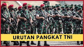 Urutan Pangkat TNI Tamtama Bintara dan Perwira [upl. by Onitselec]