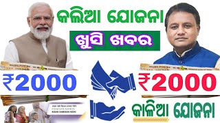 kalia Yojana new update  odisha farmer good news [upl. by Nonnerb330]