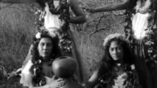 Hula Preserving Native Hawaiian Language and Culture [upl. by Varini]