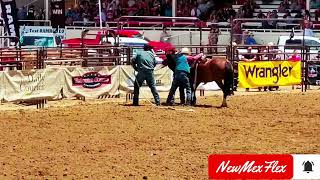 Prescott frontier days rodeo Wild horse race [upl. by Kellia]