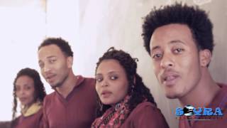 Eritrean Music Ermias Kiflezgi  Meteabitey DC 2016 Official Music Video [upl. by Ceciley]