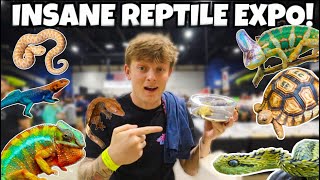 I SPENT OVER 1000 AT THIS REPTILE SHOW INSANE [upl. by Yekcim]