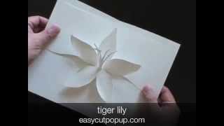 CRAFTS TIGER LILY Kirigami Popup Card [upl. by Artemus91]