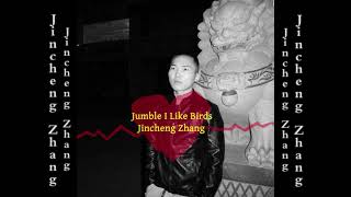 Jincheng Zhang  Lament I Like Birds Official Audio [upl. by Hemphill353]