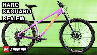 Haro Saguaro Review A Hardtail That Can Actually Plow  2024 Value Bike Field Test [upl. by Haydon645]