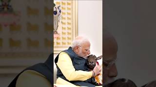 modinews bollywood bjp bollywood song bollywoodsongs [upl. by Yardna417]