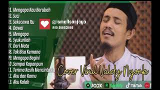 full album valdy nyonk valdynyonkofficial [upl. by Yennek]