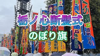 【栃ノ心断髪式】栃ノ心ののぼり旗 202424 Tochinoshin sumo flags [upl. by Weinhardt843]