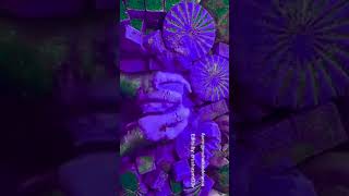 Vibrant dyed purple crush ASMRgymchalkIndonesia satisfying explore fyp asmr [upl. by Atival]