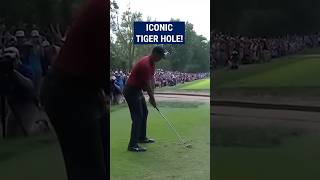 Tiger Woods final round MASTERY 😱 [upl. by Adlaremse]