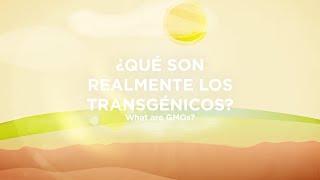 Ciencia animada UPM Qué son los transgénicos [upl. by Trofmoc]