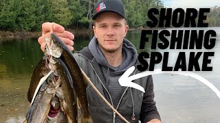 Shore Fishing SPLAKE  Northern Ontario Splake CATCH amp COOK [upl. by Margetts]