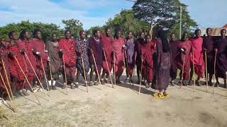 MASAI WORRIORS SINGING DURING TRADITIONAL CEREMONY AT LENGATEI VILLAGE IN KITETO [upl. by Eluj]