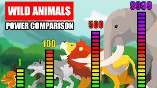 Wild Animals Power Comparison  Animal Animation [upl. by Arnon]