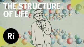 Celebrating Crystallography  An animated adventure [upl. by Annayk552]