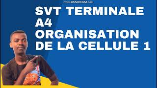 SVT TERMINALE A4 ORGANISATION DE LA CELLULE [upl. by Namwob]