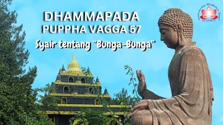 Dhammapada Puppha Vagga 57 [upl. by Eeleimaj]