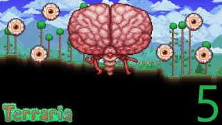 Modded terraria episode 5 the brain of Cathulu Is easy [upl. by Bellew]