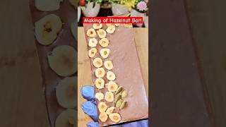 Making of Hazelnut Bar Chocolate hazelnutbar hazelnutchocolate [upl. by Mignon72]