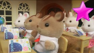 Escuela Calico Critters Noche de estrellas Calico Critters School [upl. by Enilrae]