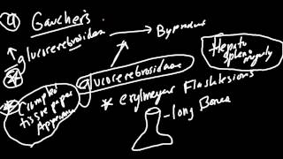 Lysosome Storage Disorders Made Simple [upl. by Akemeuwkuhc823]