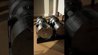 Cool Adjustable Dumbbells for Home Workout Sessions [upl. by Namso]