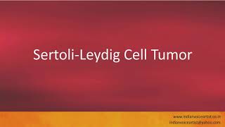 Pronunciation of the words quotSertoliLeydig Cell Tumorquot [upl. by Lammaj433]