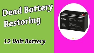 12 Volt Battery RepairUps Battery Restoring [upl. by Dominica893]