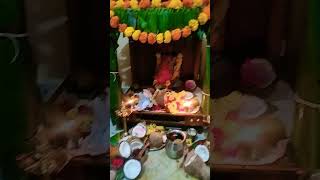 Kobbari kayyalo puvvu ravadam adhrustam🙏🙏🙏🙏🙏 [upl. by Aicsila]