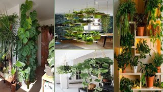 hanging plant trees pot idea indoor gardening ideas indoorplantshangingvirl [upl. by Ayetal86]