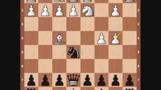 Chess Openings Budapest Gambit [upl. by Baudelaire]