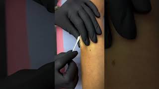 Dermal  Wrist piercing 💎 2 Dermal piercings [upl. by Hatty]