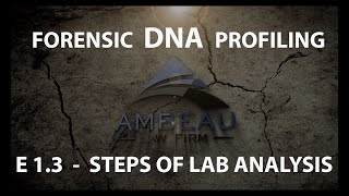 Forensic DNA Profiling  Episode 13  Steps in Lab Analysis [upl. by Chouest]