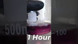 Dissolving Meat In Stomach Acid [upl. by Calmas695]