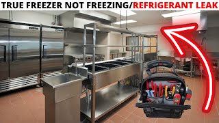 HVACR Service Call TRUE Freezer Not FreezingCommercial Freezer Not CoolingRefrigerant Leak Repair [upl. by Ycniuqal]