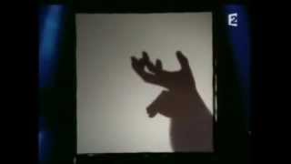 hand shadow puppets performance [upl. by Jarnagin]