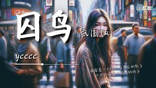 ycccc  囚鳥氛圍版「我是被你囚禁的鳥已經忘了天有多高」看著你的笑在別人眼中燃燒我卻要不到一個擁抱【動態歌詞 Lyrics】 [upl. by Ajnot]