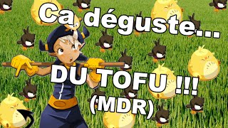 Dofus  Refonte Osa on samuse en PvP 1vs1   TOFUS 4EVER [upl. by Etnaid]