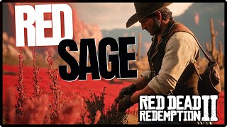 Red Sage Location  Red Dead Redemption 2 [upl. by Maher]