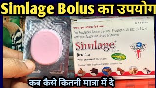 Simlage BolusVeterinary feed Supplementइस बोलस का उपयोग पशु में कब कैसे कितनी मात्रा में करें [upl. by Dupaix]