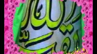 seyed javad zakerسید ذاکر ولادت [upl. by Siaht]