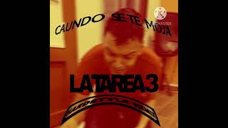 Caundo Se Te Moja La Tarea Vol 3 HardStyle Remix [upl. by Alley612]