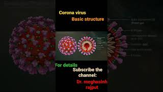 Basic structure of Corona Virus  Covid19  SARS  shorts [upl. by Assirek]