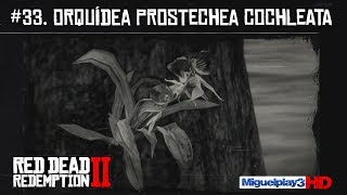 Localización múltiple Orquídea Prostechea Cochleata  33Compendio Plantas  Red dead redemption 2 [upl. by Savick]