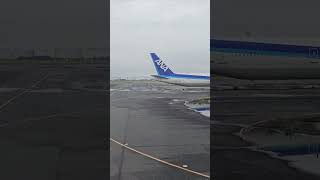 【羽田空港】到着のアナウンスと、ANA B777の横を通過するANAスターウォーズジェットの機窓から [upl. by Ylicec]