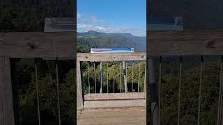 Skywalk  Dorrigo National Park dorrigo scenery rainforest [upl. by Sirhc539]