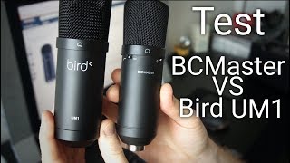 Duel de microphones studio BCMaster vs Bird UM1 [upl. by Sldney]