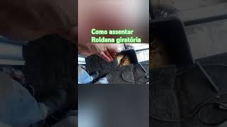 Assentando roldana giratória [upl. by Ahsikrats29]