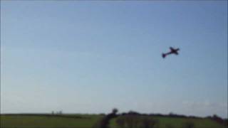 Dancing Wings 3D RC aiplane [upl. by Nowujalo249]